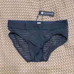 Men's Gray Sheer Stripe Briefs